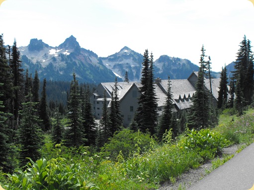 Mt. Rainier 193