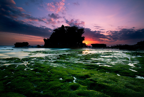 tempat wisata di bali: pura tanah lot bali