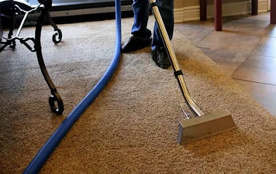 Professional Carpet Cleaning Viewbank