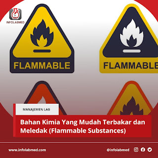 Bahan Kimia Yang Mudah Terbakar dan Meledak