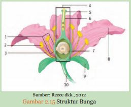  Kunci Jawaban Mengamati Struktur Bagian  Bunga  ROFA 
