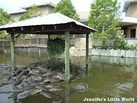 Gatorland, Orlando, Florida