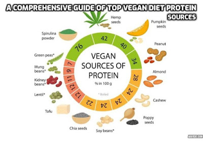 Vegan diets can be rich in protein, and there are plenty of plant-based sources that provide the essential amino acids your body needs. Here's a comprehensive guide to the top vegan diet protein sources. Read on to find out more.