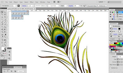 screenshot of peacock feather in adobe illustrator cs5 