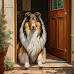 Captivating Collie Dog Images: A Glimpse into the Graceful World of Collies