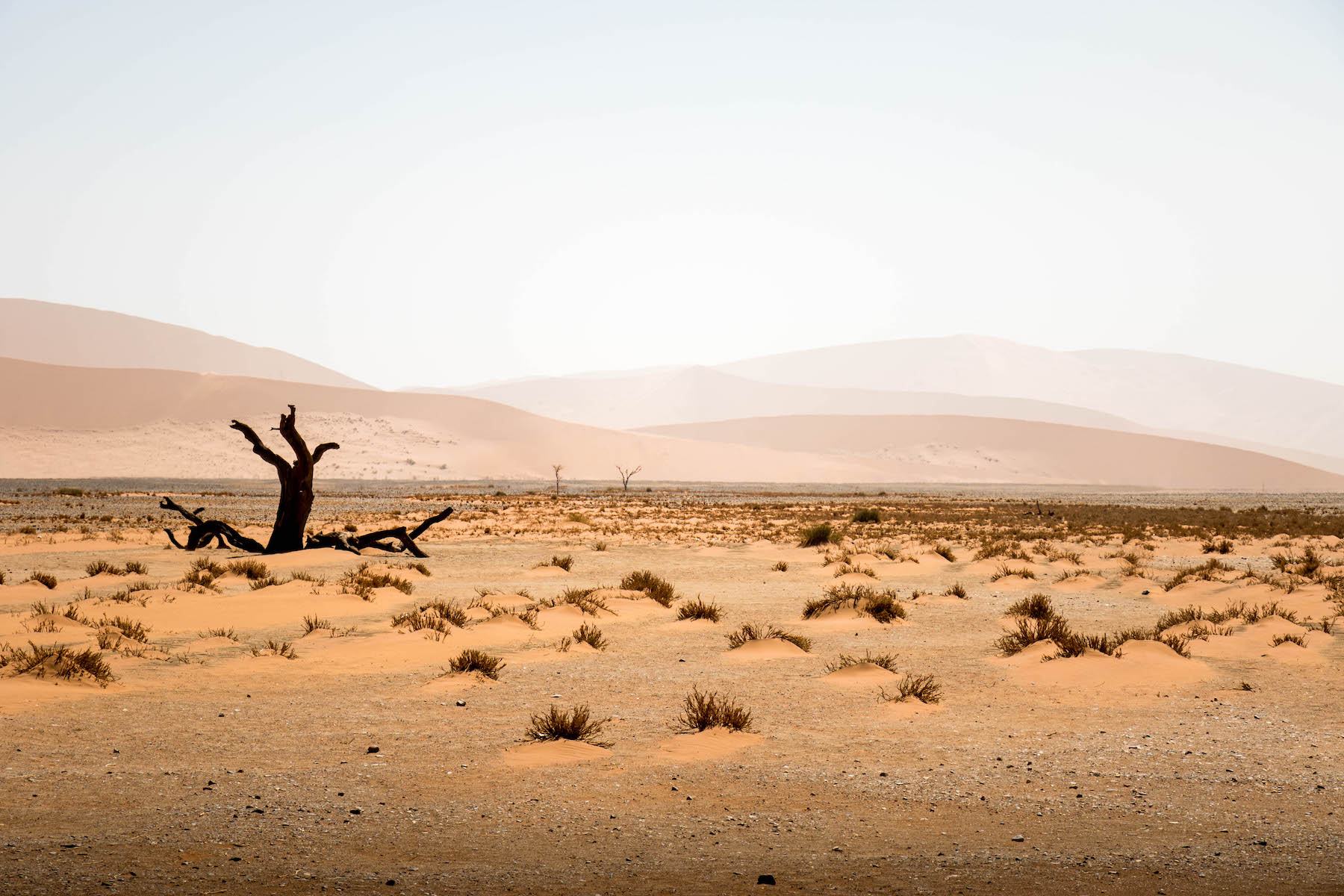 El Namib (Namíbia)