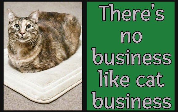 There's no business like cat business