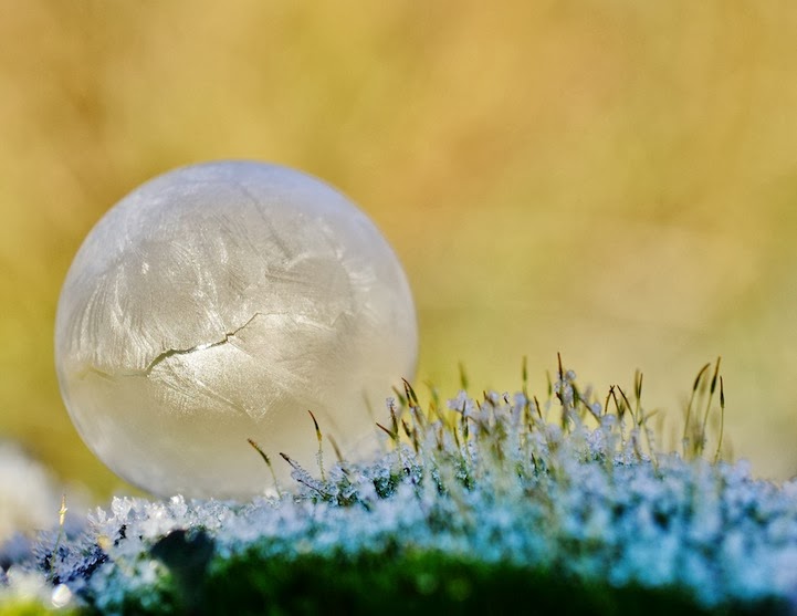 Spectacular Photos of Bubbles Frozen in Frigid Temperatures