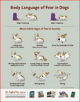 http://info.drsophiayin.com/free-poster-on-body-language-in-dogs/