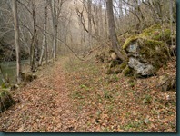 DSCN8637