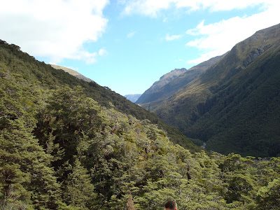 arthurs pass national park