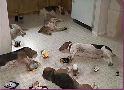 Dogs_Drunk