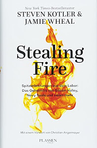 Stealing Fire: Spitzenleistungen aus dem Labor: Das Geheimnis von Silicon Valley, Navy Seals und vielen mehr