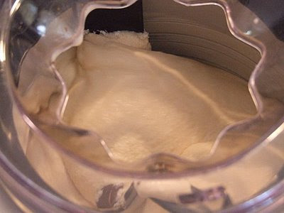 Ice cream recipes cuisinart