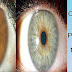 How To Change Your Eyes Color Naturally & Permanently  100% Save