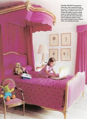 Teen Girl Canopy Beds