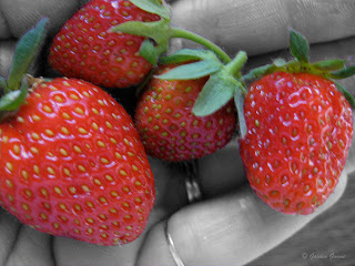 home grown strawberries