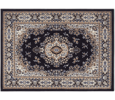 Traditional Medallion Area Rug