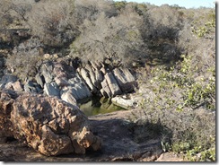 DSCN0559
