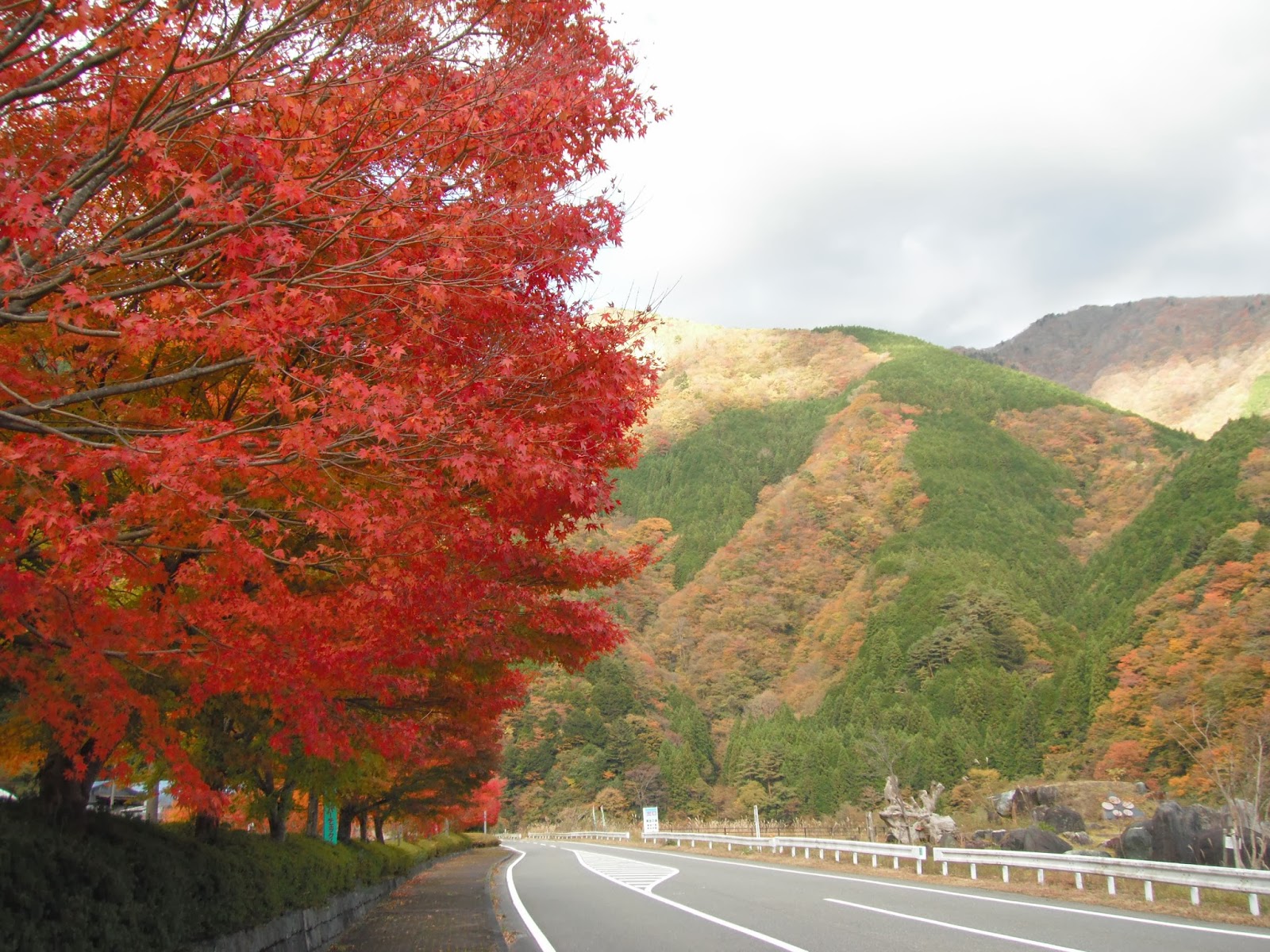 梅ヶ島紅葉情報13 梅ヶ島温泉 公式サイト