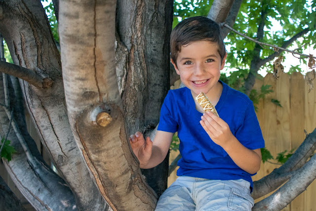 How to Make a Sloth School Lunch Recipe For Your Kids!