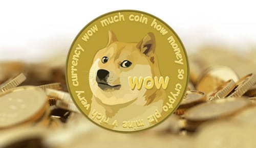 Musk wants Dogecoin to become the internet currency