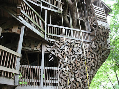 The World's Biggest Treehouse (14) 6