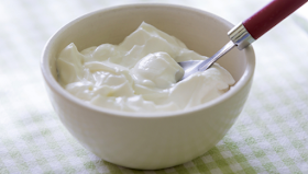 Yogur Para Candida Albicans