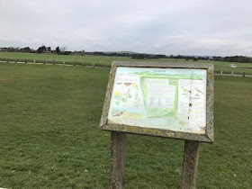 February walk along Goring Beach, West Sussex