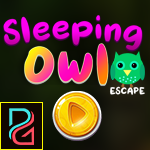 PG Sleeping Owl Escape