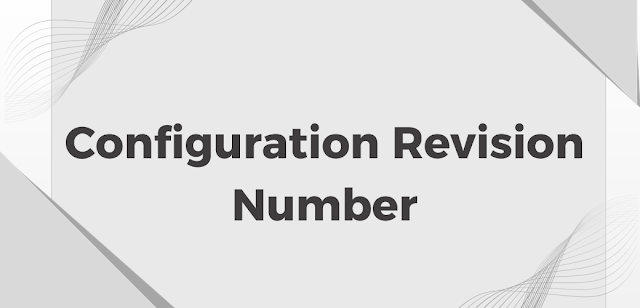 Configuration Revision Number