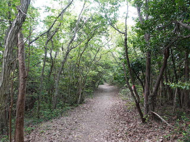 島根県松江市美保関町美保関　ウォーキングコース