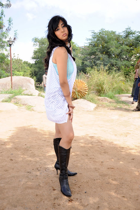 sakshi gulati from ksda movie, sakshi new unseen pics