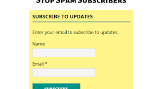 How to stop spam subscribers on WordPress email subscribe form?