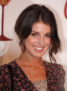 Shenae Grimes Wavy Updo Hairstyle