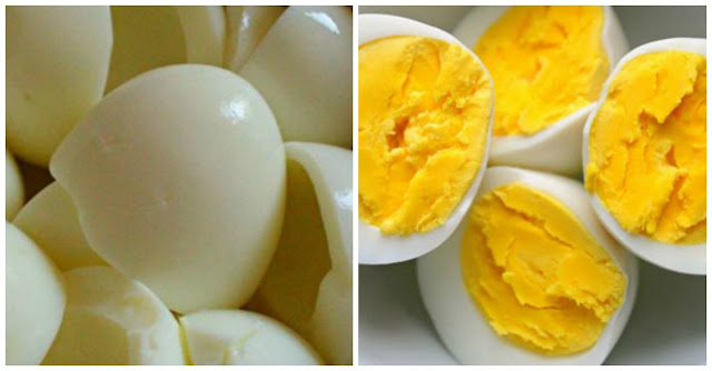 Pilih Putih Telur Atau Kuning Telur Yaa ?? Simak Artikel Berikut Ini Untuk Penjelasannya !!