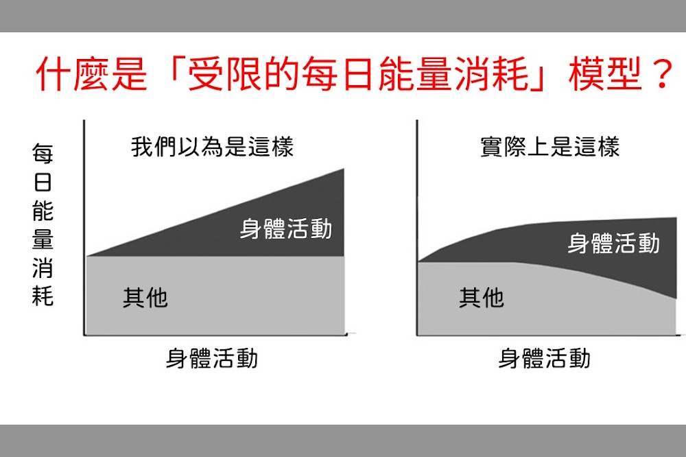  《燃》閱讀心得2：拼命運動居然不會消耗更多能量？