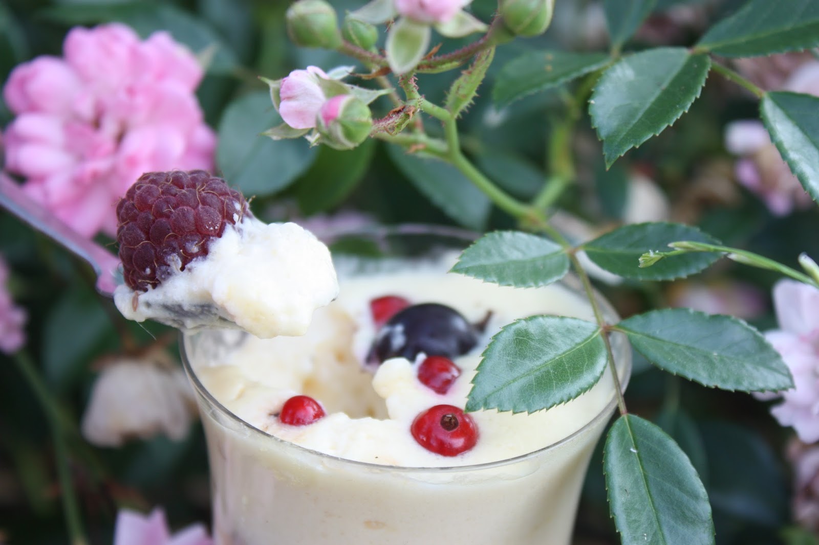 http://cocottechlorophylle.blogspot.fr/2013/08/mousse-legere-de-fruits-rouges-au.html