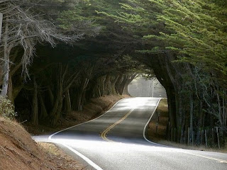 Beautiful road