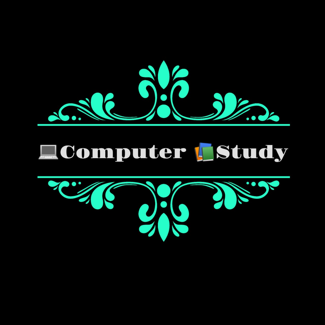 Now computer study