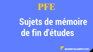 Exemple de sujet de mémoire en économie