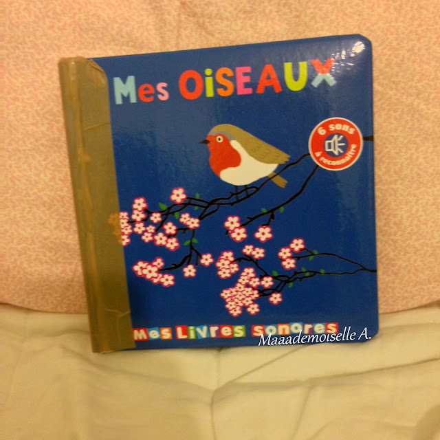 Mes oiseaux