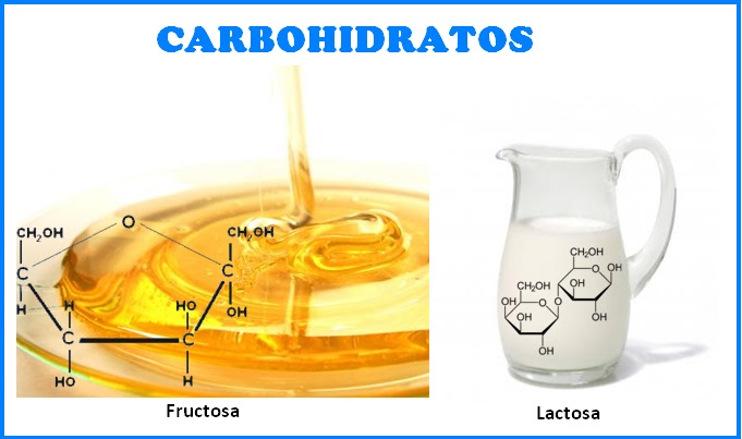 Hablemso de nutrición