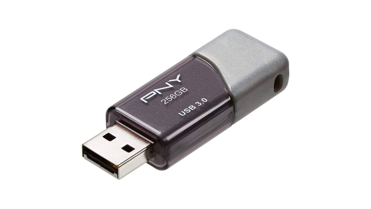 PNY 256GB