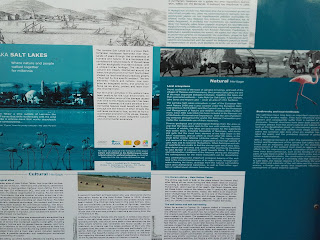 English poster about Larnaka Salt Lake and the flamingoes