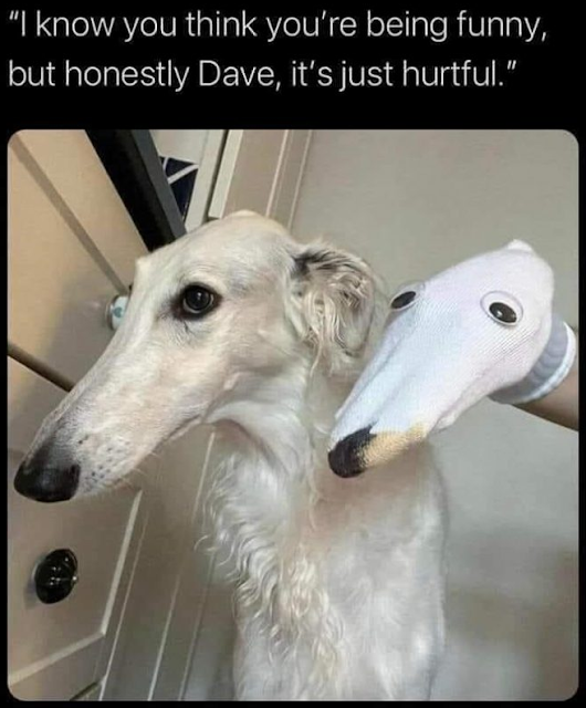 Doggo Memes