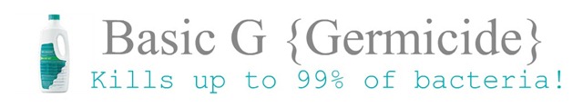 Basic g Banner
