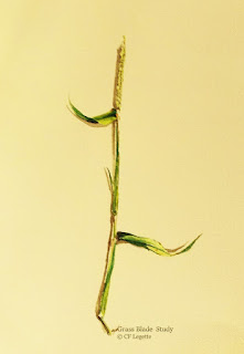 http://fineartamerica.com/featured/grass-blade-study-c-f-legette.html