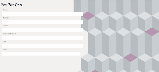 HTML Input Type