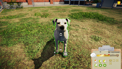 Animal Shelter Game Screenshot 3